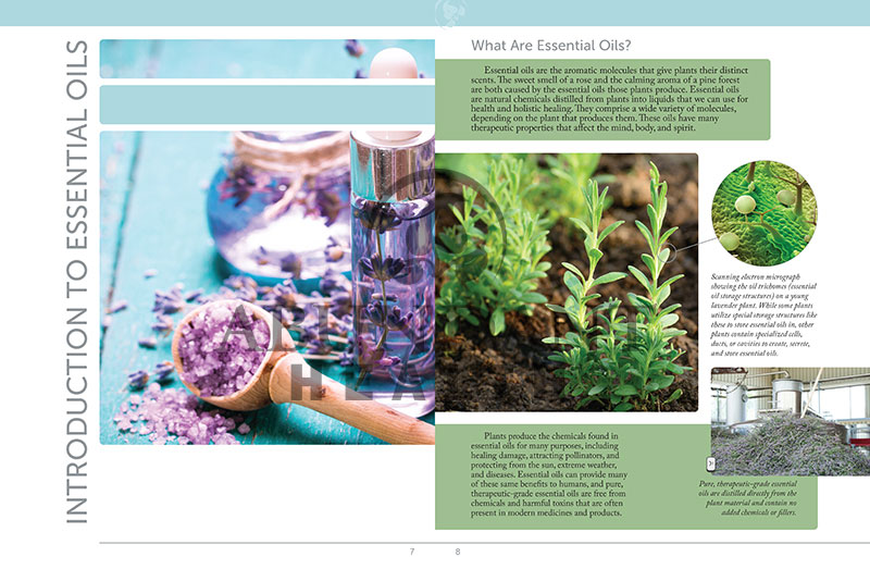 The 2018 Reference Guide For Essential Oils Is Here And Better